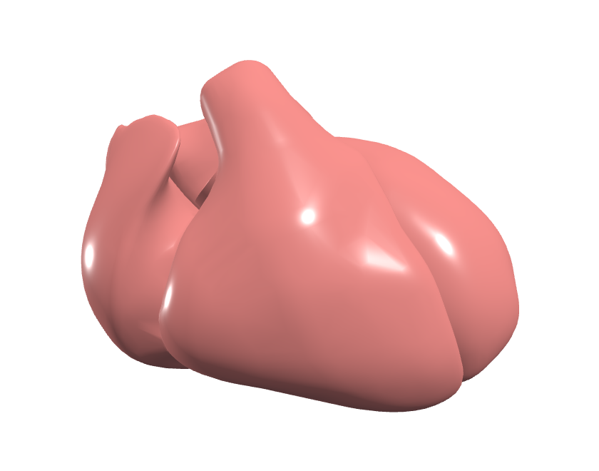 Human Reference Atlas heart rendered in 3D